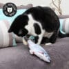 jouet-peluche-poisson-remue-queue-herbe-chat-chaton-8 jouet peluche poisson réaliste bouge la queue imprégné d'herbe à chat cataire catnip