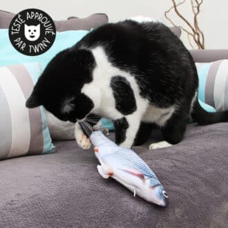 jouet peluche poisson réaliste bouge la queue imprégné d'herbe à chat cataire catnip