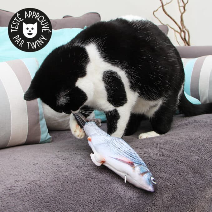 jouet-peluche-poisson-remue-queue-herbe-chat-chaton-8 jouet peluche poisson réaliste bouge la queue imprégné d'herbe à chat cataire catnip