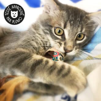 Souris en tissu avec plumes pour le chat ou le chaton