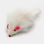 Souris blanche pour chat avec grelot