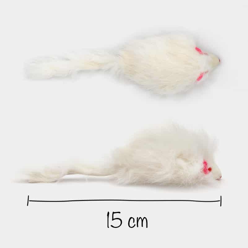 Souris blanche pour chat sonore - Catedogshop