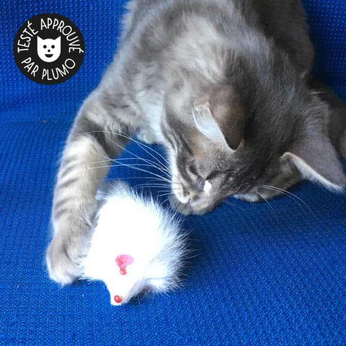 jouet-peluche-tissu-souris-blanche-chat-chaton-3 jouet peluche souris blanche pour le chat ou le chaton