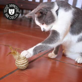 jouet balle en corde sisal et plumes pour le chat ou le chaton