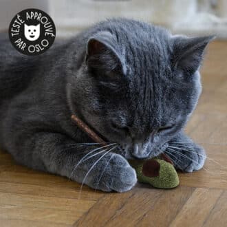 jouet souris herbe à chat cataire et matatabi