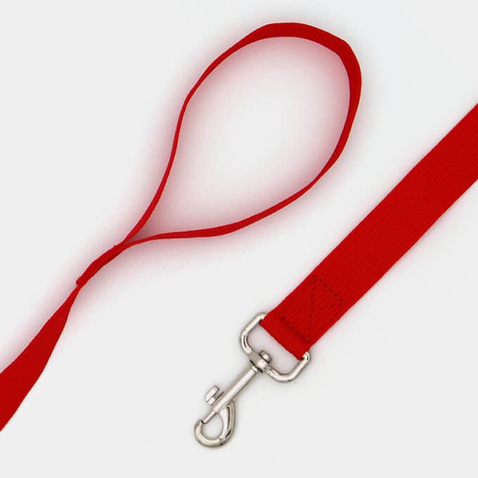 laisse longe solide et souple pour promenade et éducation du chien et du chiot