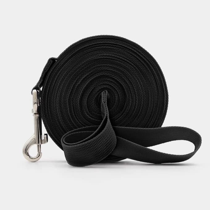 laisse longe solide et souple pour promenade et éducation du chien et du chiot