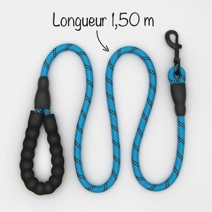 laisse-chien-corde-escalade-ronde-reflechissant-14 laisse chien en corde d'escalade ronde et réfléchissante