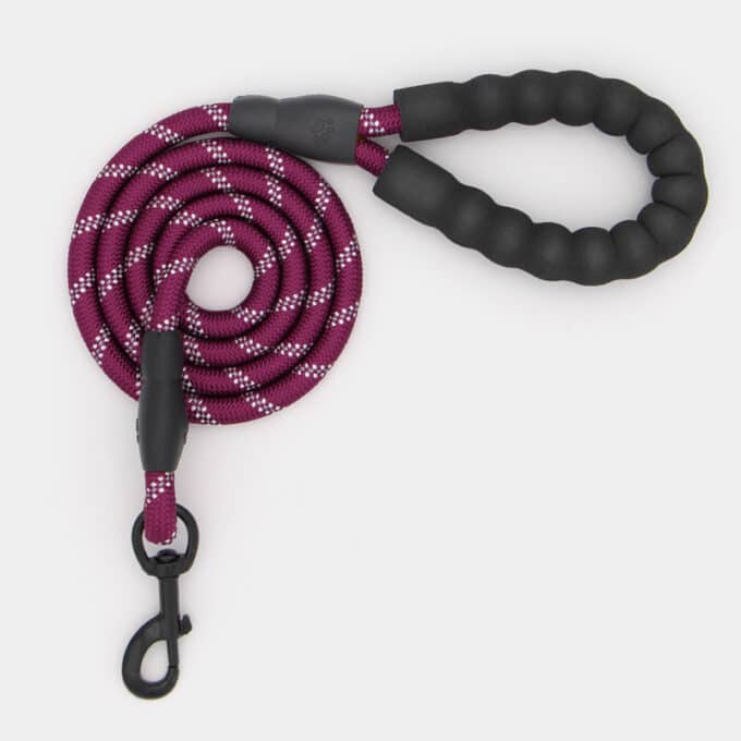 laisse-chien-corde-escalade-ronde-reflechissant-9 laisse chien en corde d'escalade ronde et réfléchissante rose bordeaux