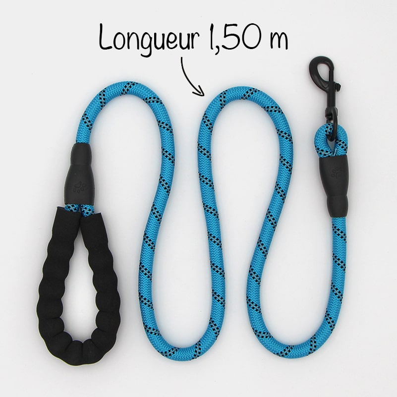 Laisse Pour Chien Avec Mousqueton À Glissière, Laisse En Corde