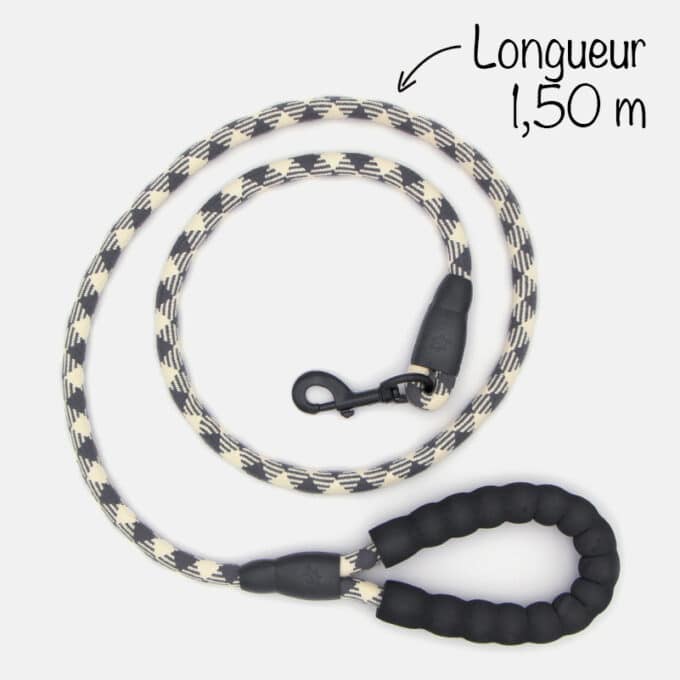 Laisse en corde d'escalade pour chien motif écossais