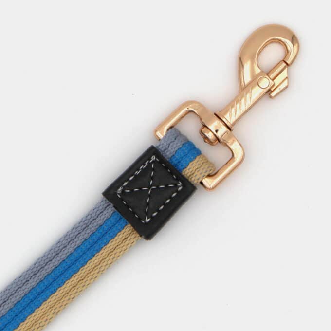 laisse en coton avec mousqueton moderne et chic pour le chien et le chiot