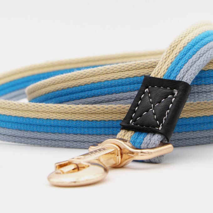 laisse en coton avec mousqueton moderne et chic pour le chien et le chiot