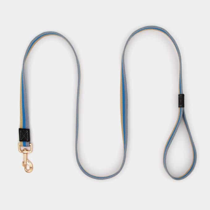 laisse en coton avec mousqueton moderne et chic pour le chien et le chiot