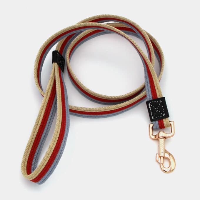 laisse en coton avec mousqueton moderne et chic pour le chien et le chiot