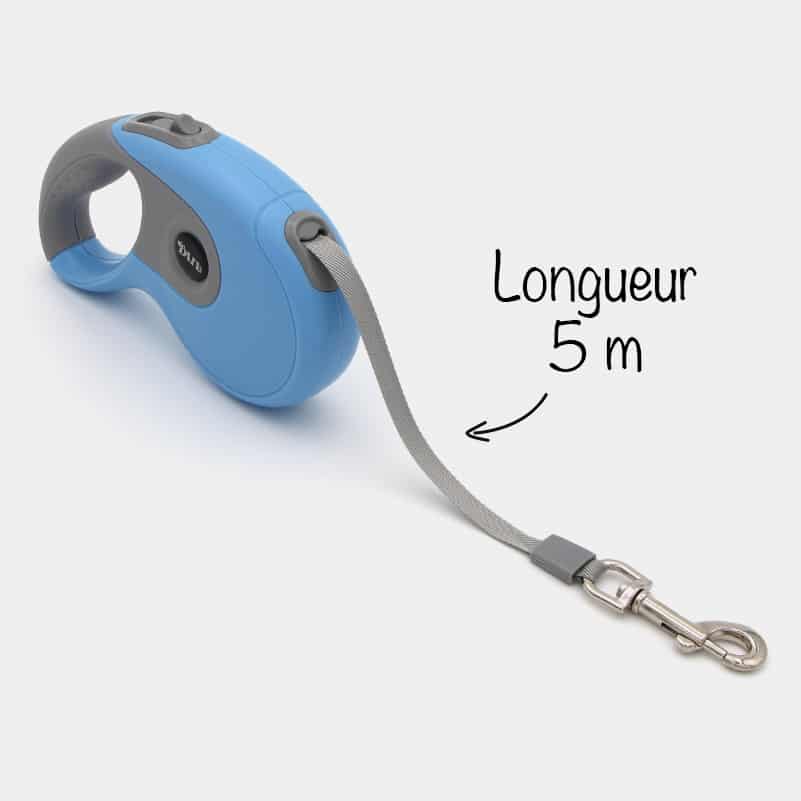 Laisse enrouleur LED pour chiens et chats - Petits Compagnons