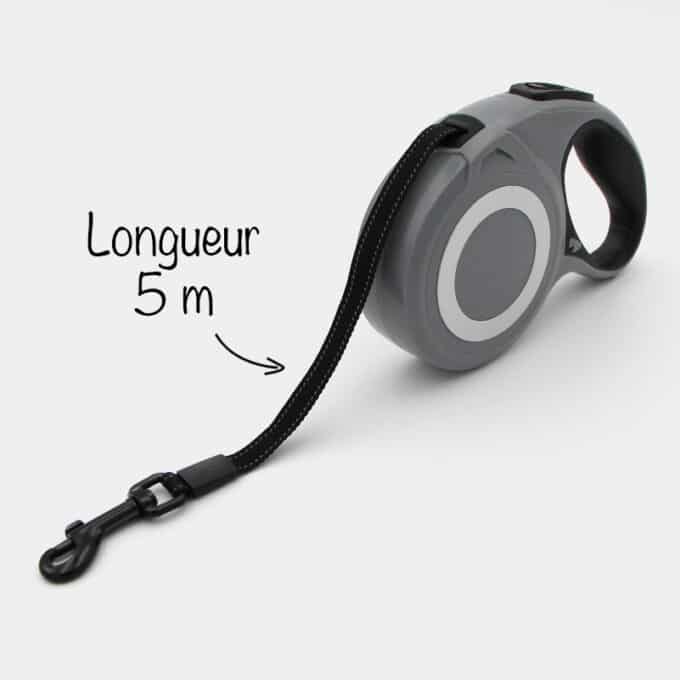 laisse-enrouleur-5m-design-moderne-chien-5 laisse à enrouleur rétractable 5 mètres pour le chien