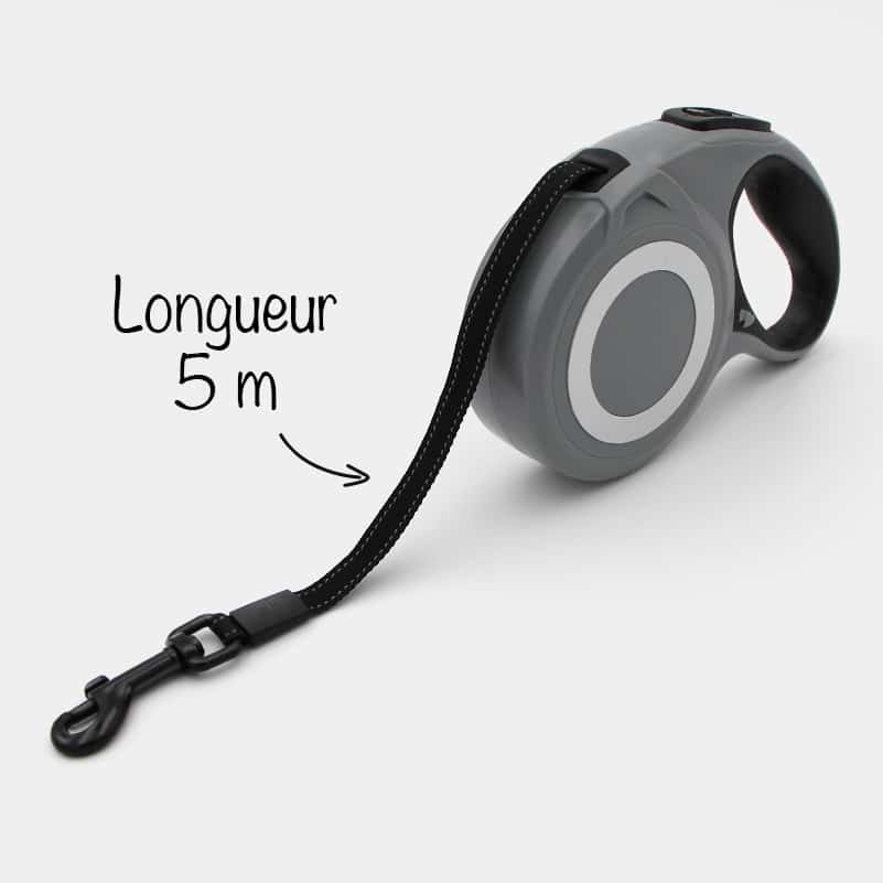 Taglory Laisse Chien Enrouleur 5m Ruban Nylon Solide Jusqu'à 50kg