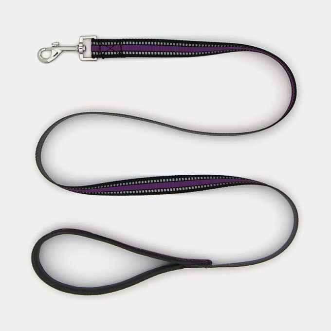 Laisse sport en nylon réfléchissante pour chien ou chiot