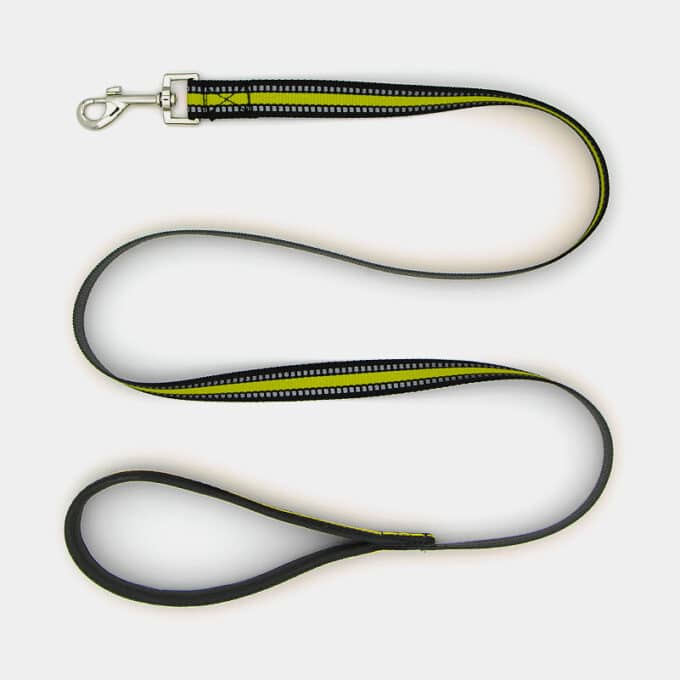 Laisse sport en nylon réfléchissante pour chien ou chiot
