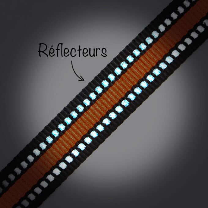 laisse-sport-chien-nylon-reflechissant-clip-6 Collier et laisse sport en nylon réfléchissante pour chien ou chiot