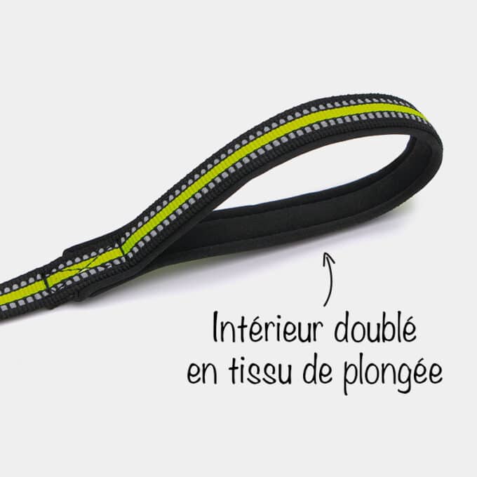 Laisse sport en nylon réfléchissante pour chien ou chiot