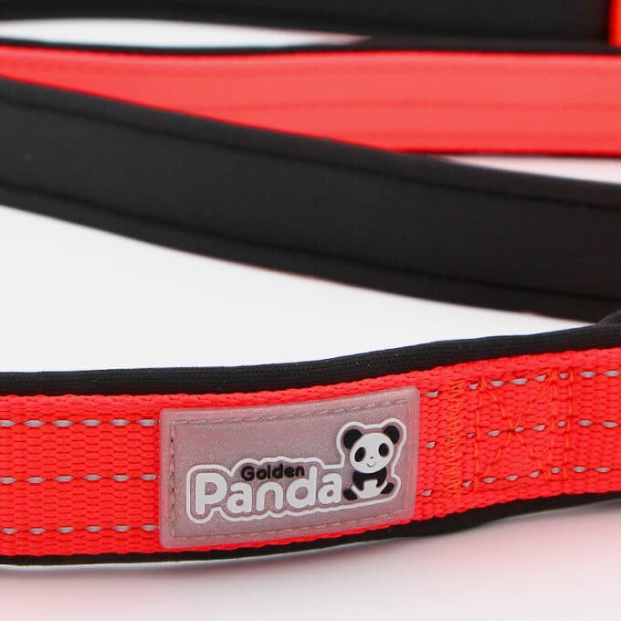 laisse-sport-fluo-nylon-reflechissant-chien-12 Laisse réfléchissante fluo pour chien