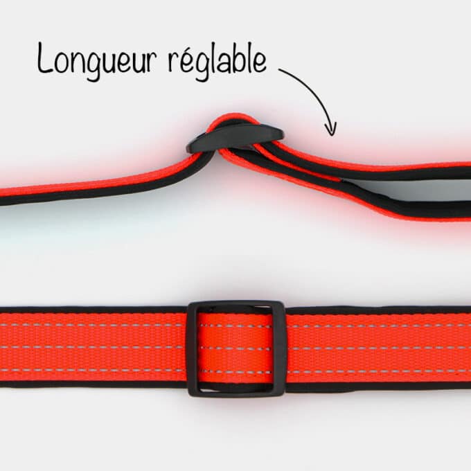 laisse-sport-fluo-nylon-reflechissant-chien-6 laisse sport fluo en nylon réfléchissante pour chien et chiot