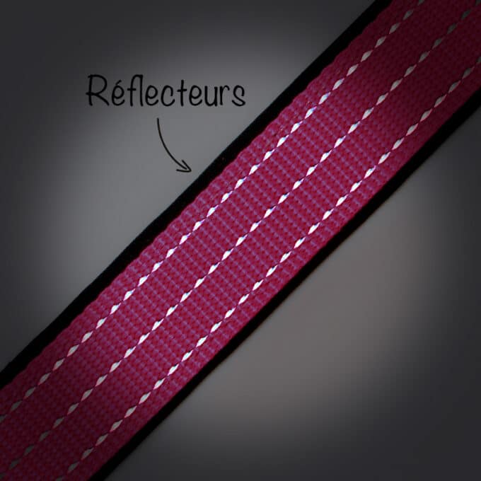 laisse-sport-fluo-nylon-reflechissant-chien-7 collier et laisse sport fluo en nylon réfléchissante pour chien et chiot
