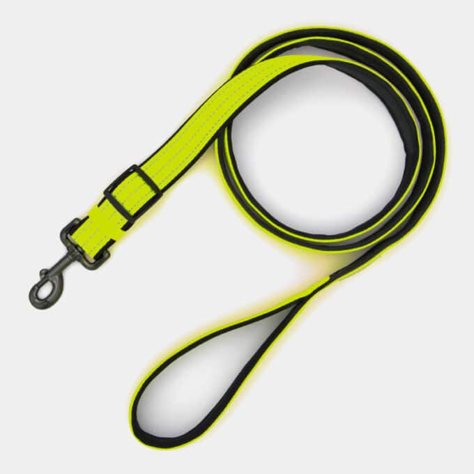 laisse-sport-fluo-nylon-reflechissant-chien-jaune laisse sport fluo en nylon réfléchissante pour chien et chiot