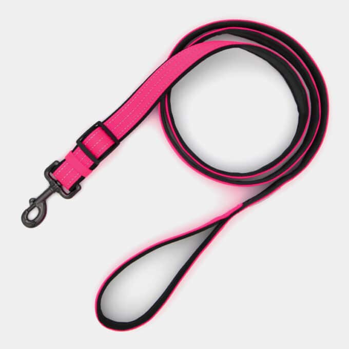 laisse-sport-fluo-nylon-reflechissant-chien-rose laisse sport fluo en nylon réfléchissante pour chien et chiot