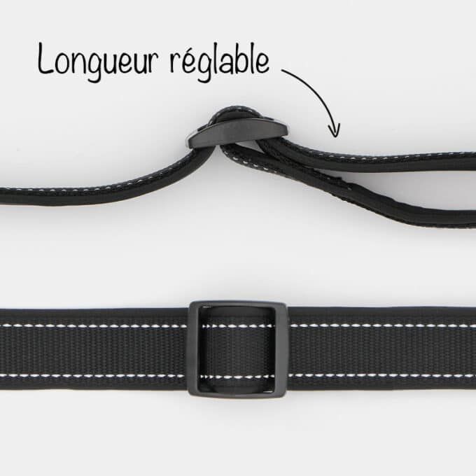 laisse sport noire en nylon réfléchissante pour chien et chiot
