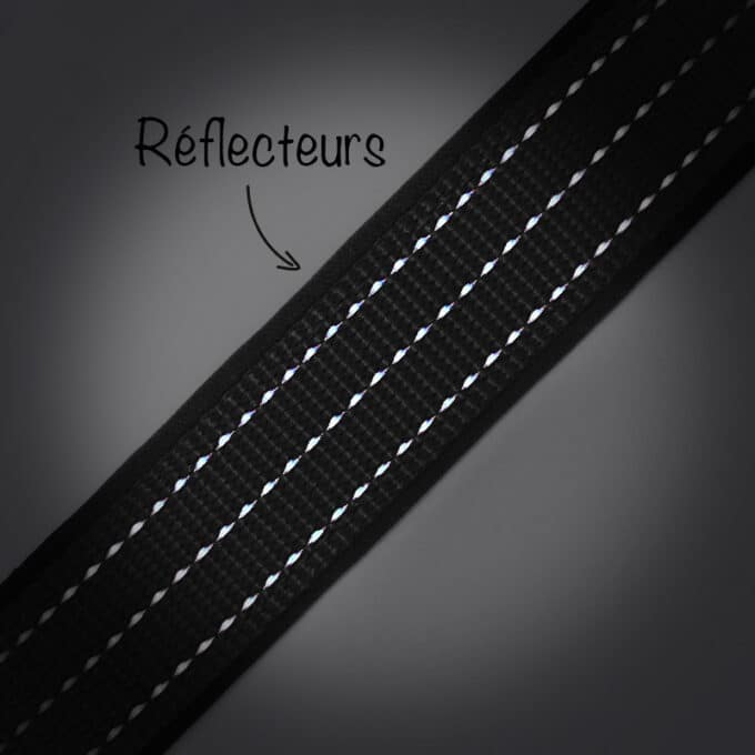 collier et laisse sport noire en nylon réfléchissante pour chien et chiot