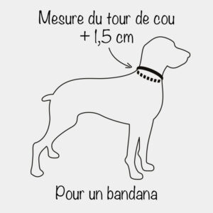 Mesurer le tour de cou du chien pour un bandana