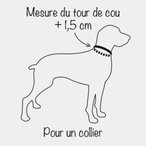 Mesurer le tour de cou du chien pour un collier