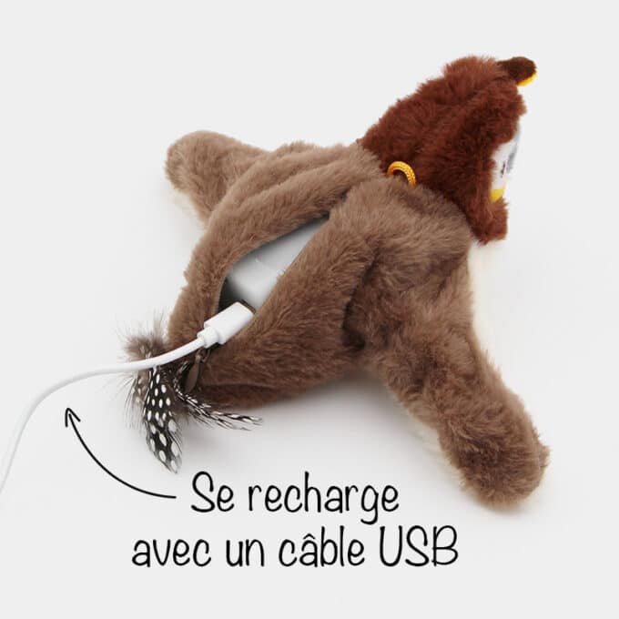 Oiseau interactif qui vole et chante au bout d'une ficelle pour chat