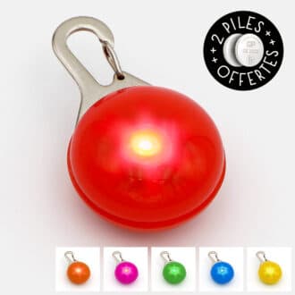 pendentif lumineux lampe nocturne pour promener le chien avec collier la nuit