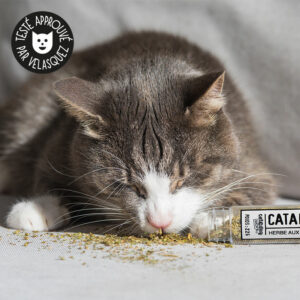 Spray Herbe à chat Catnip Trixie