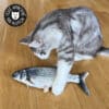 poisson-qui-bouge-queue-chat-2 Jouet poisson pour chat qui bouge la queue
