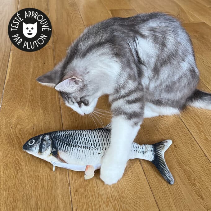 poisson-qui-bouge-queue-chat-2 Jouet poisson pour chat qui bouge la queue