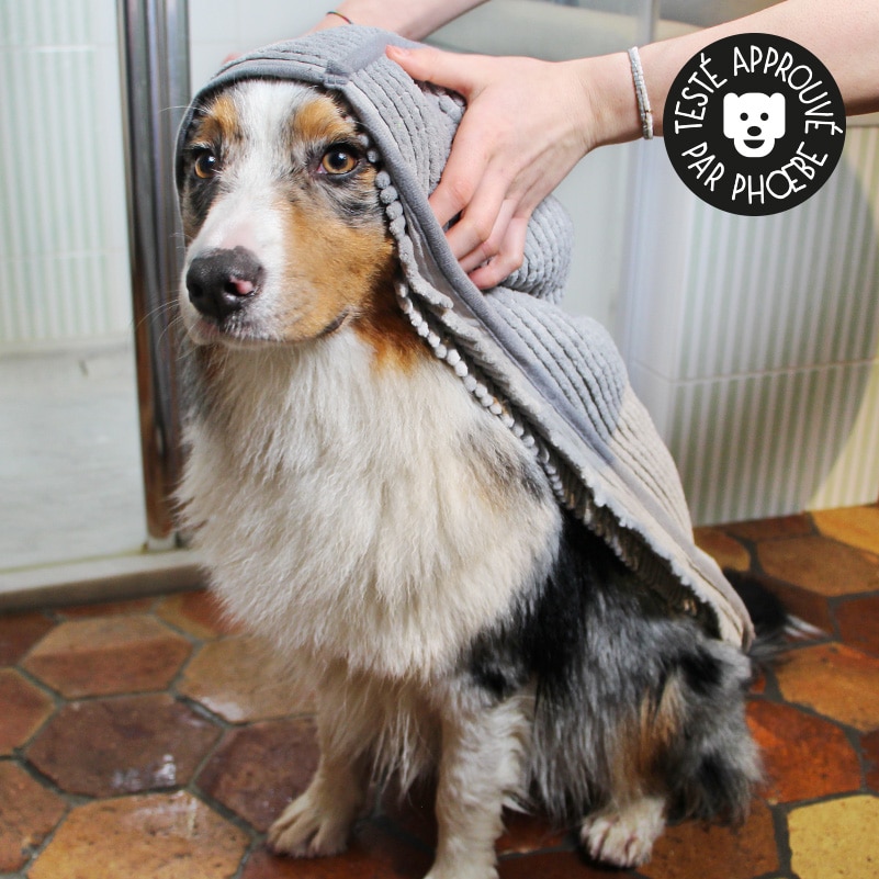 Serviette de bain microfibre pour chien ultra absorbante - Catedogshop