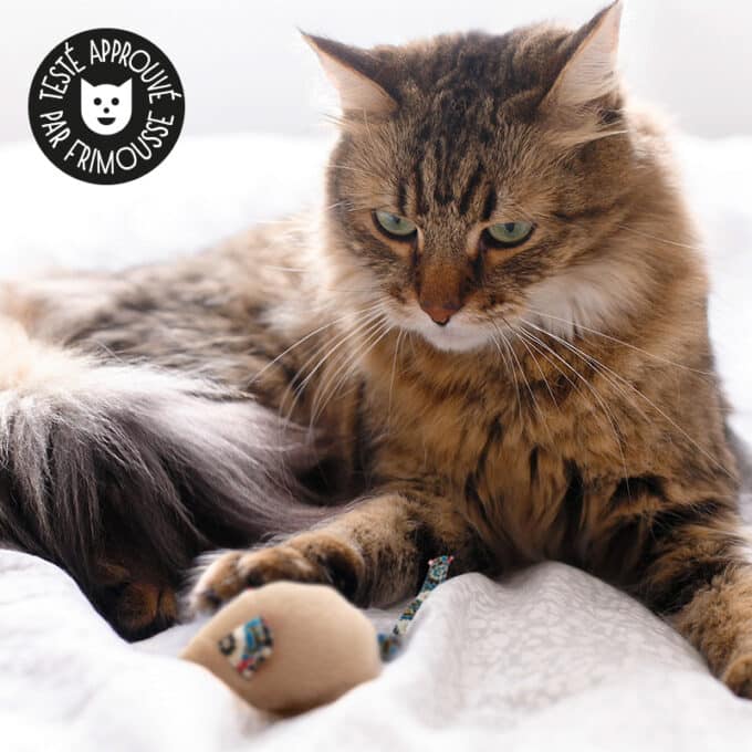 souris pour chat en tissu à fleurs