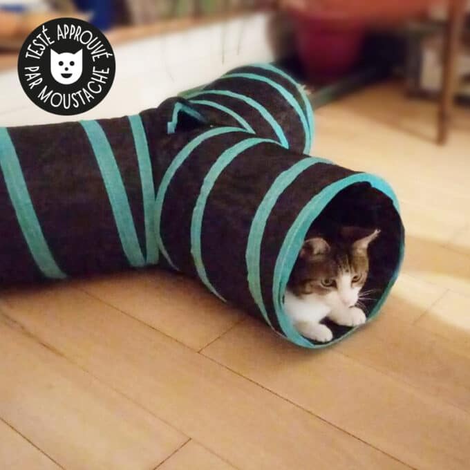 tunnel-pour-chat-chaton-jouet-2 Tunnel pour chat avec balle