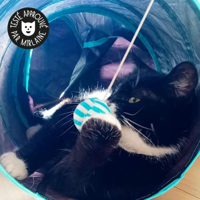 tunnel-pour-chat-chaton-jouet Tunnel pour chat