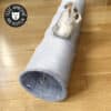 Tunnel pour chat en tissu avec fenêtres et armature métallique