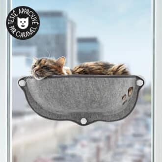 hamac de fenêtre pour chat d'appartement