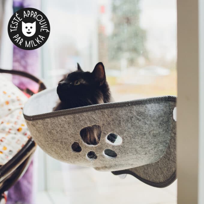 transat-hamac-fenetre-vitre-sieste-appartement-chat-18 hamac de fenêtre pour chat d'appartement