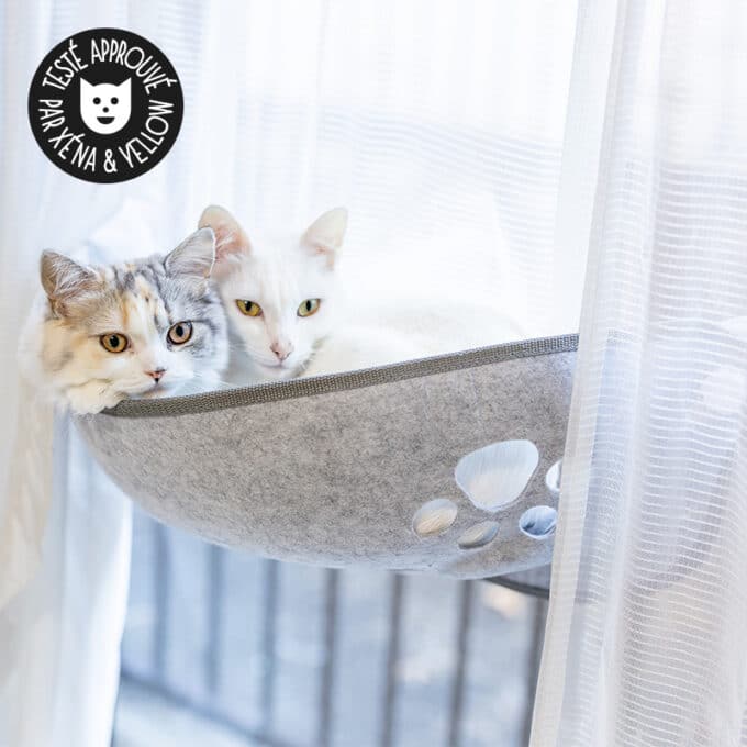 transat-hamac-fenetre-vitre-sieste-appartement-chat-19 hamac de fenêtre pour chat d'appartement