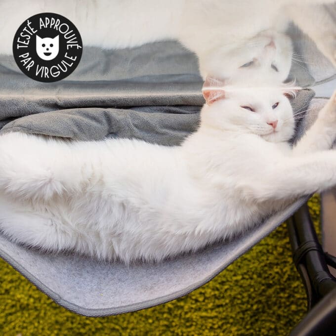 transat-hamac-fenetre-vitre-sieste-appartement-chat-20 hamac de fenêtre pour chat d'appartement