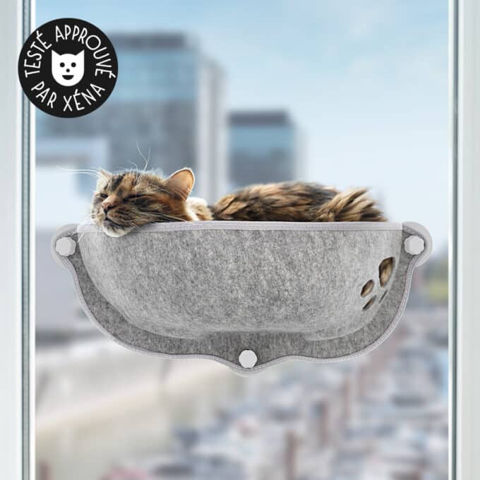 transat-hamac-fenetre-vitre-sieste-appartement-chat-22 hamac de fenêtre pour chat d'appartement
